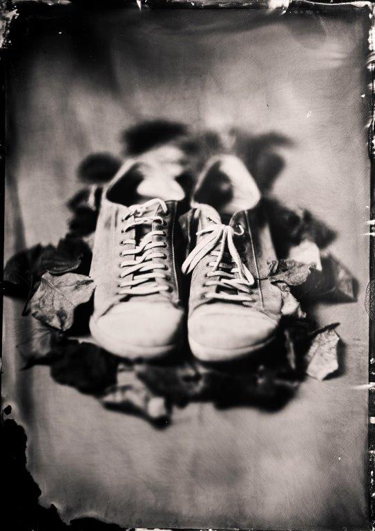 © Markus Hofstätter