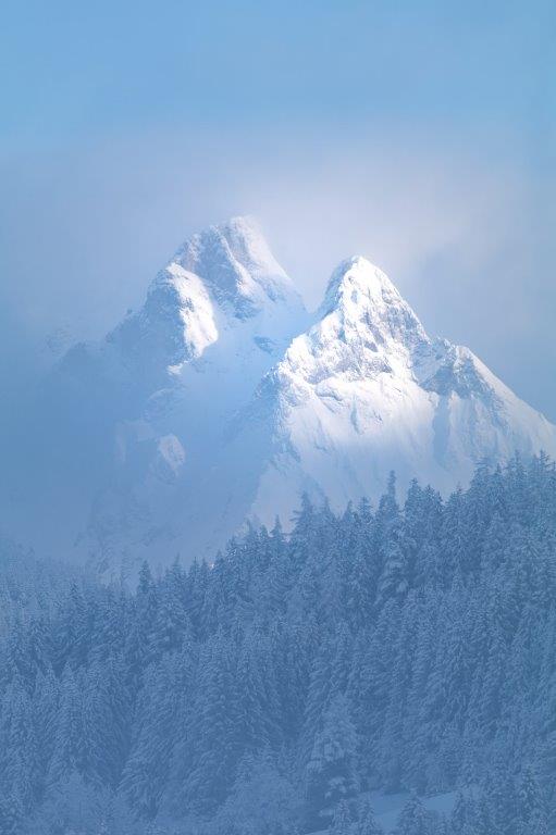 © Marina Halmenschlager