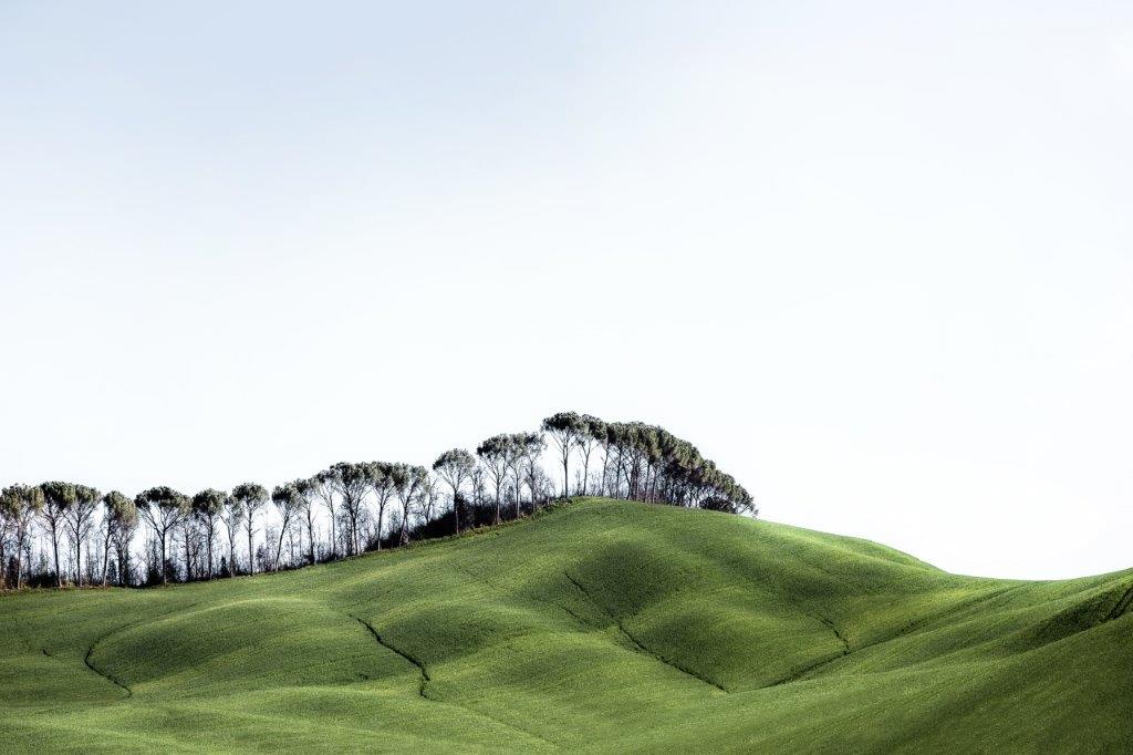 © Romana Fürnkranz